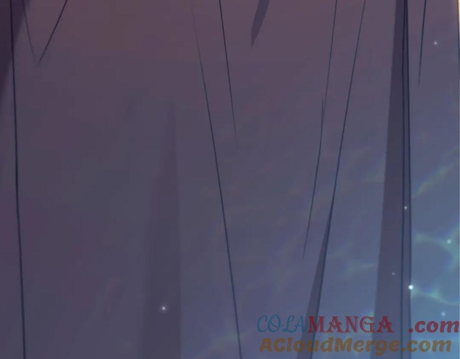 第217页
