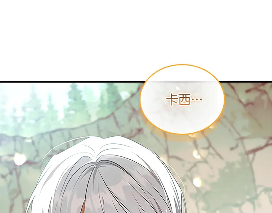 第243页