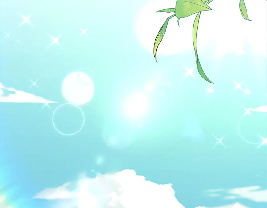 第204页