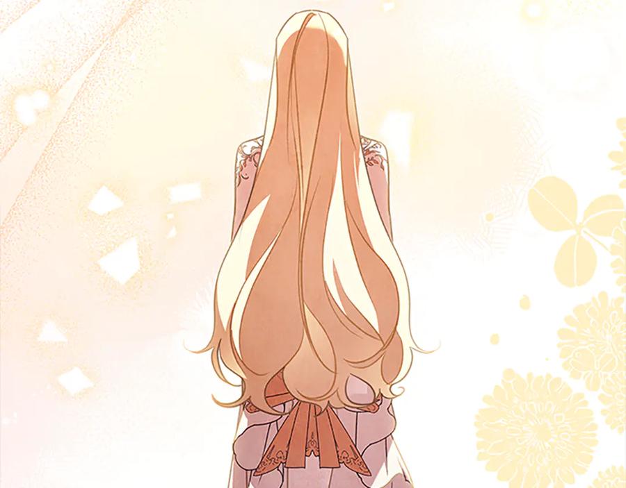 第239页