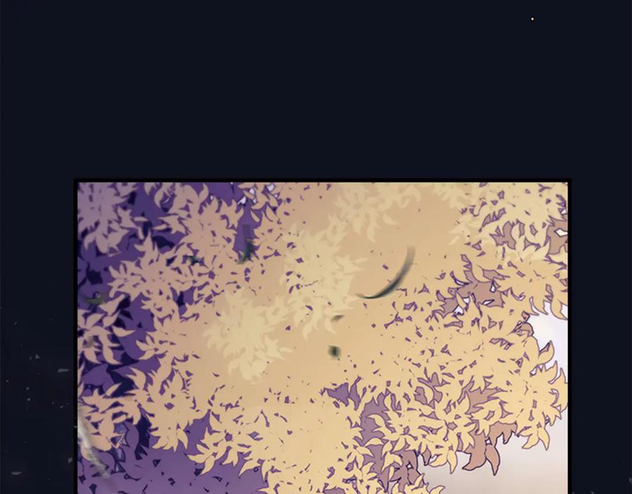 第224页