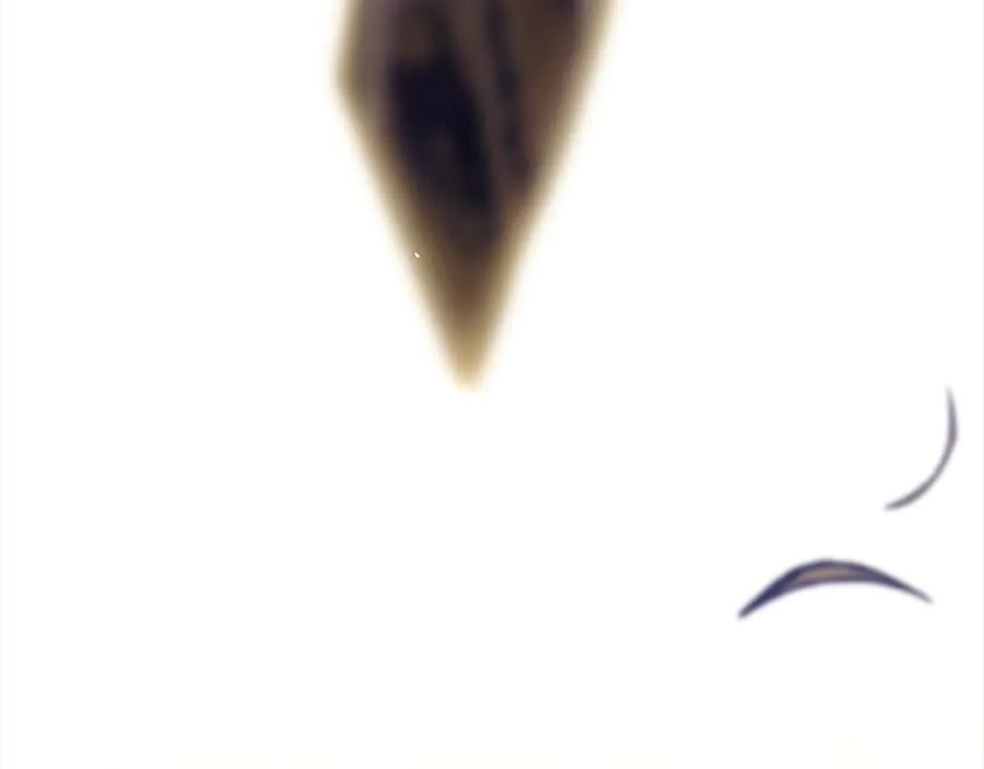 第234页