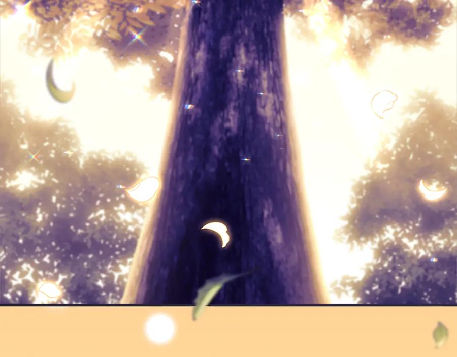 第243页