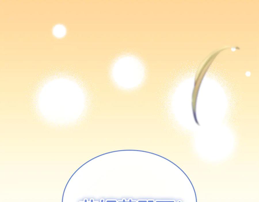 第244页