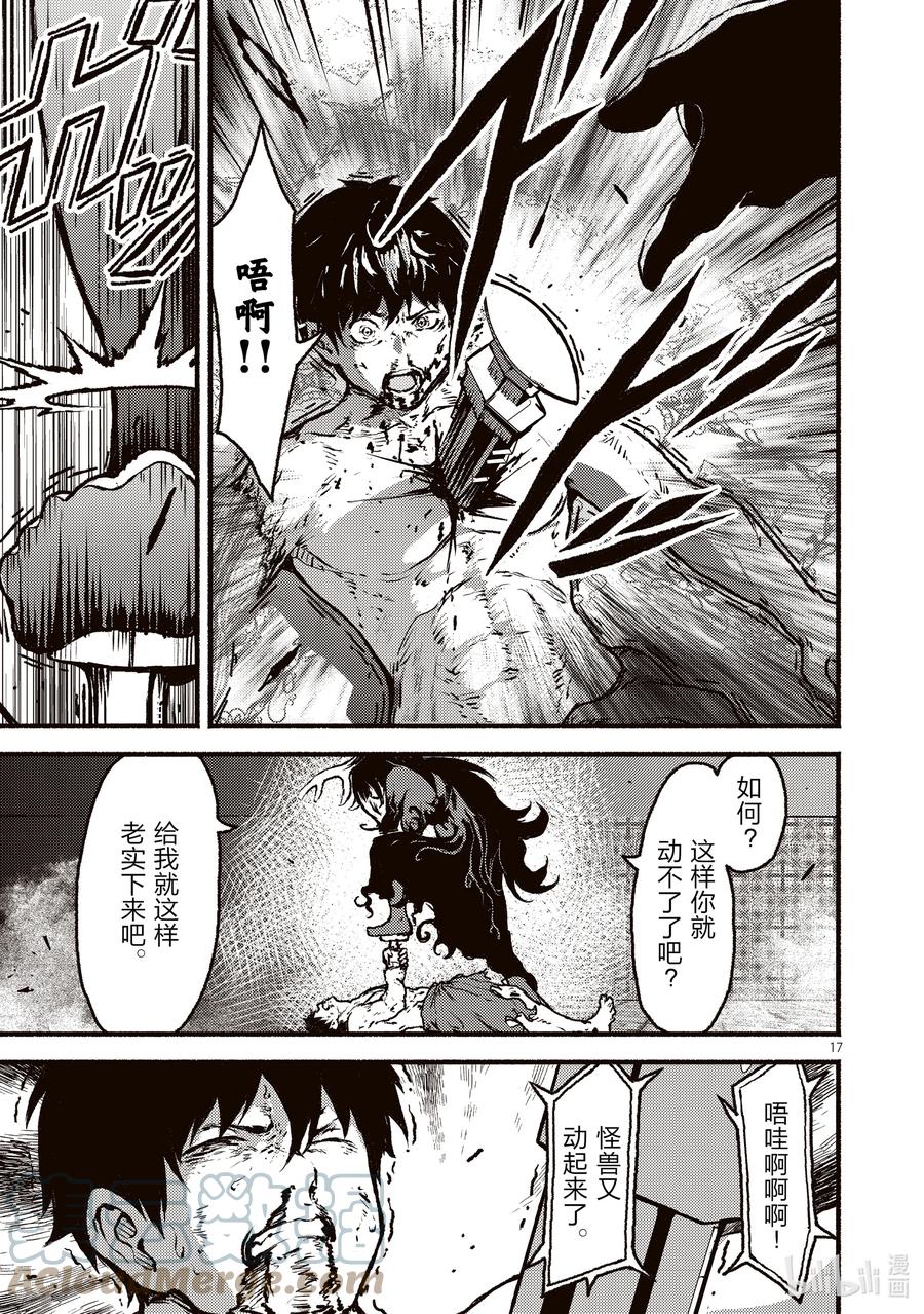 第17页