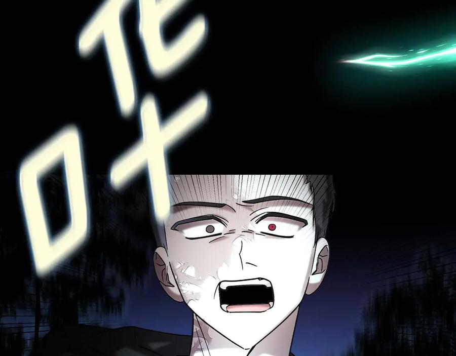 第204页