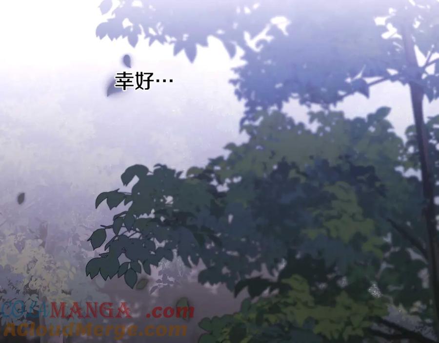 第221页
