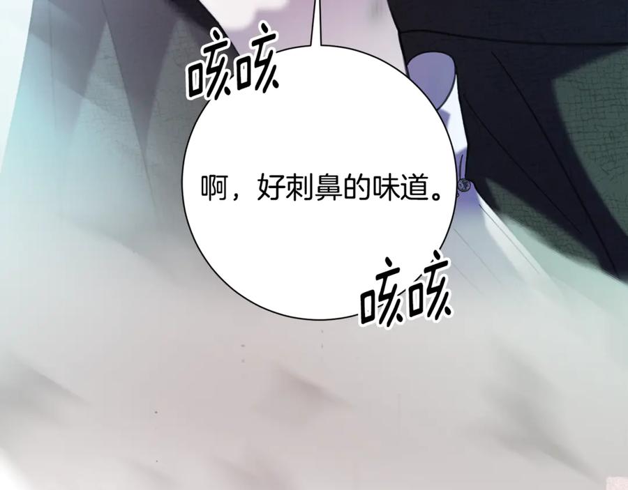 第223页