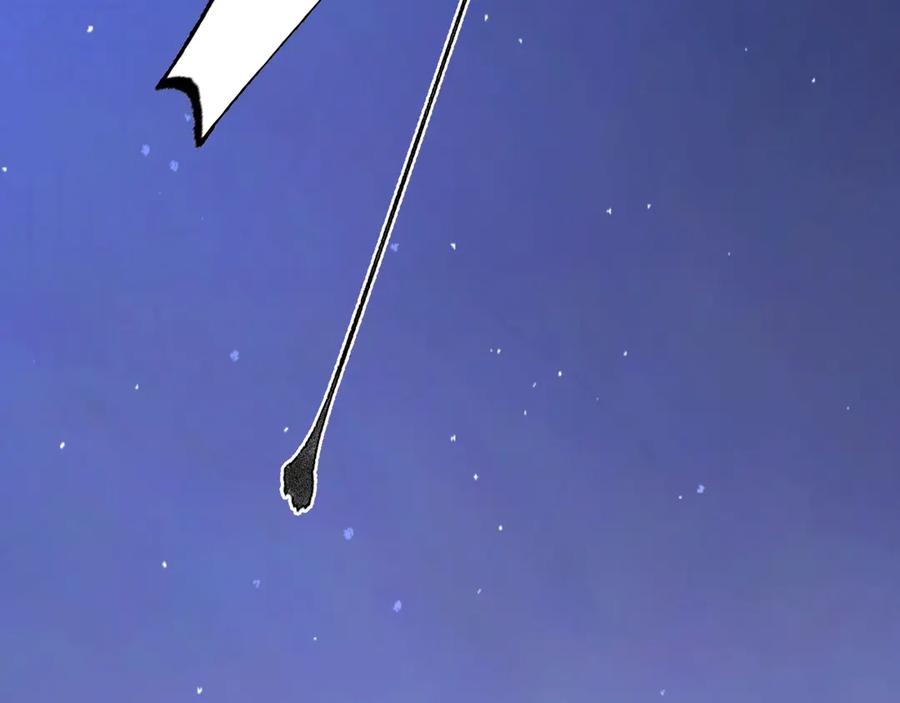 第223页