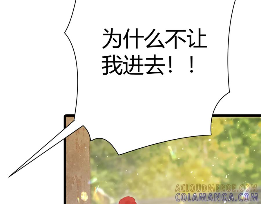 第217页