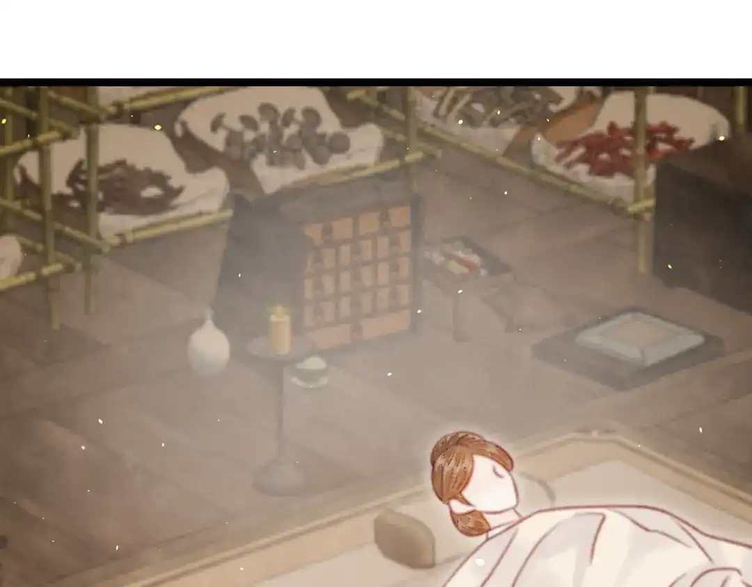 韶华珑：重生之恶妃逆袭 051 落胎药 第107页