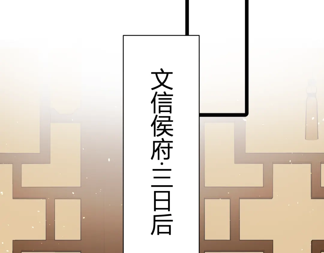 韶华珑：重生之恶妃逆袭 051 落胎药 第146页