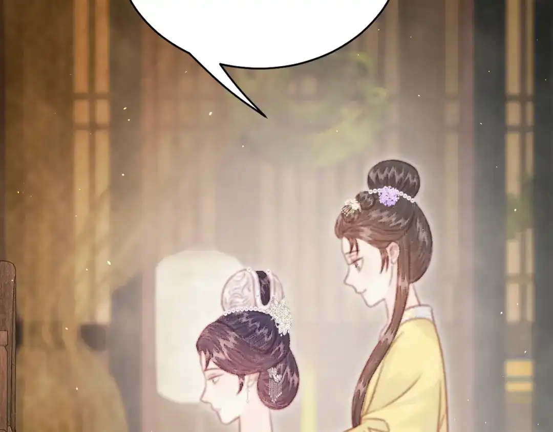 韶华珑：重生之恶妃逆袭 051 落胎药 第154页