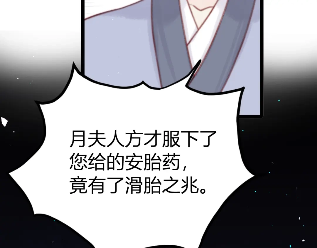 韶华珑：重生之恶妃逆袭 051 落胎药 第164页