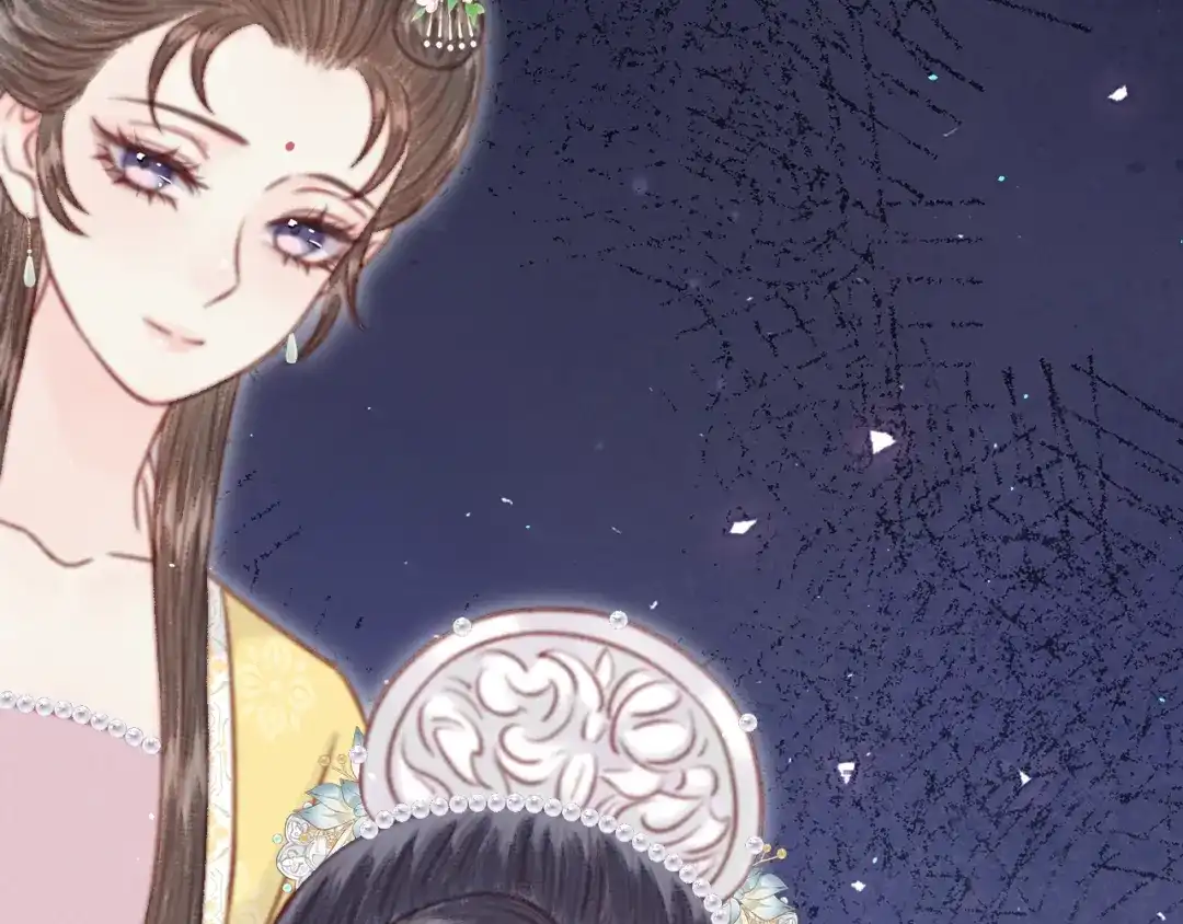 韶华珑：重生之恶妃逆袭 051 落胎药 第166页