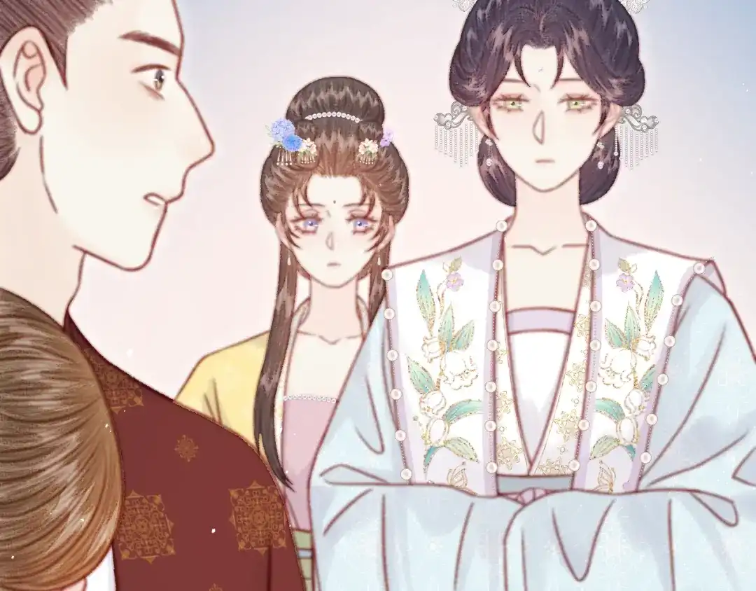 韶华珑：重生之恶妃逆袭 051 落胎药 第195页