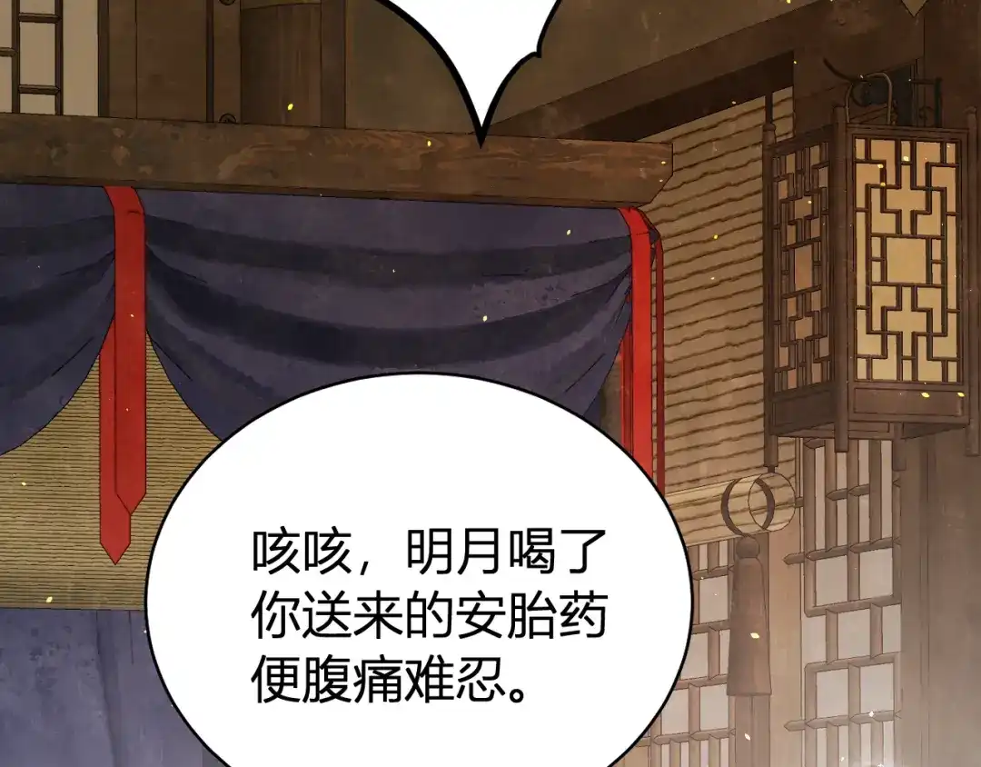 韶华珑：重生之恶妃逆袭 051 落胎药 第201页