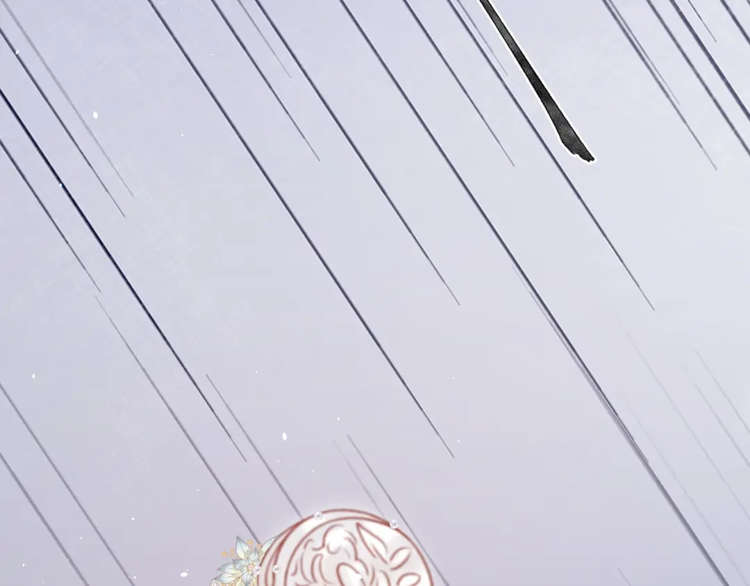 韶华珑：重生之恶妃逆袭 051 落胎药 第218页