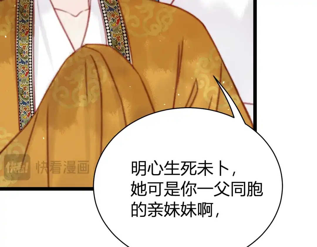 韶华珑：重生之恶妃逆袭 051 落胎药 第29页