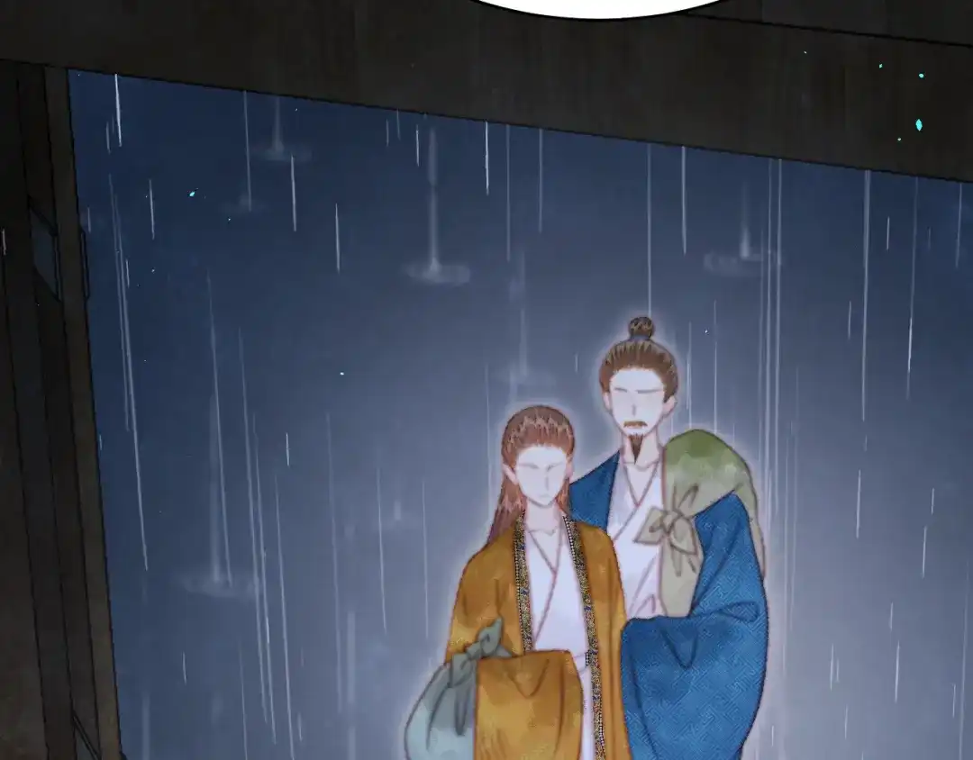 韶华珑：重生之恶妃逆袭 051 落胎药 第41页