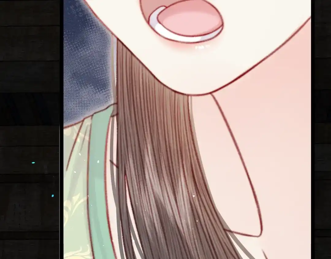 韶华珑：重生之恶妃逆袭 051 落胎药 第45页
