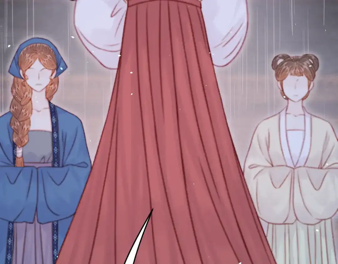 韶华珑：重生之恶妃逆袭 051 落胎药 第48页
