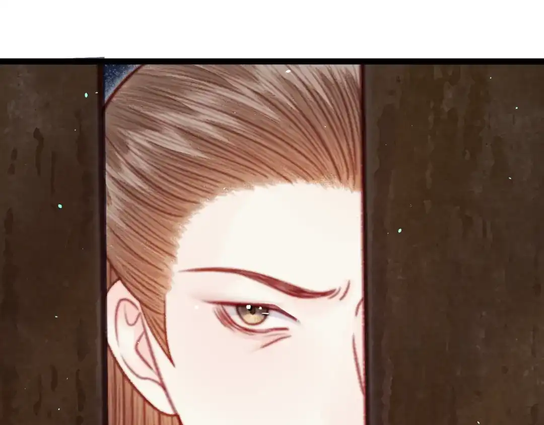 韶华珑：重生之恶妃逆袭 051 落胎药 第56页