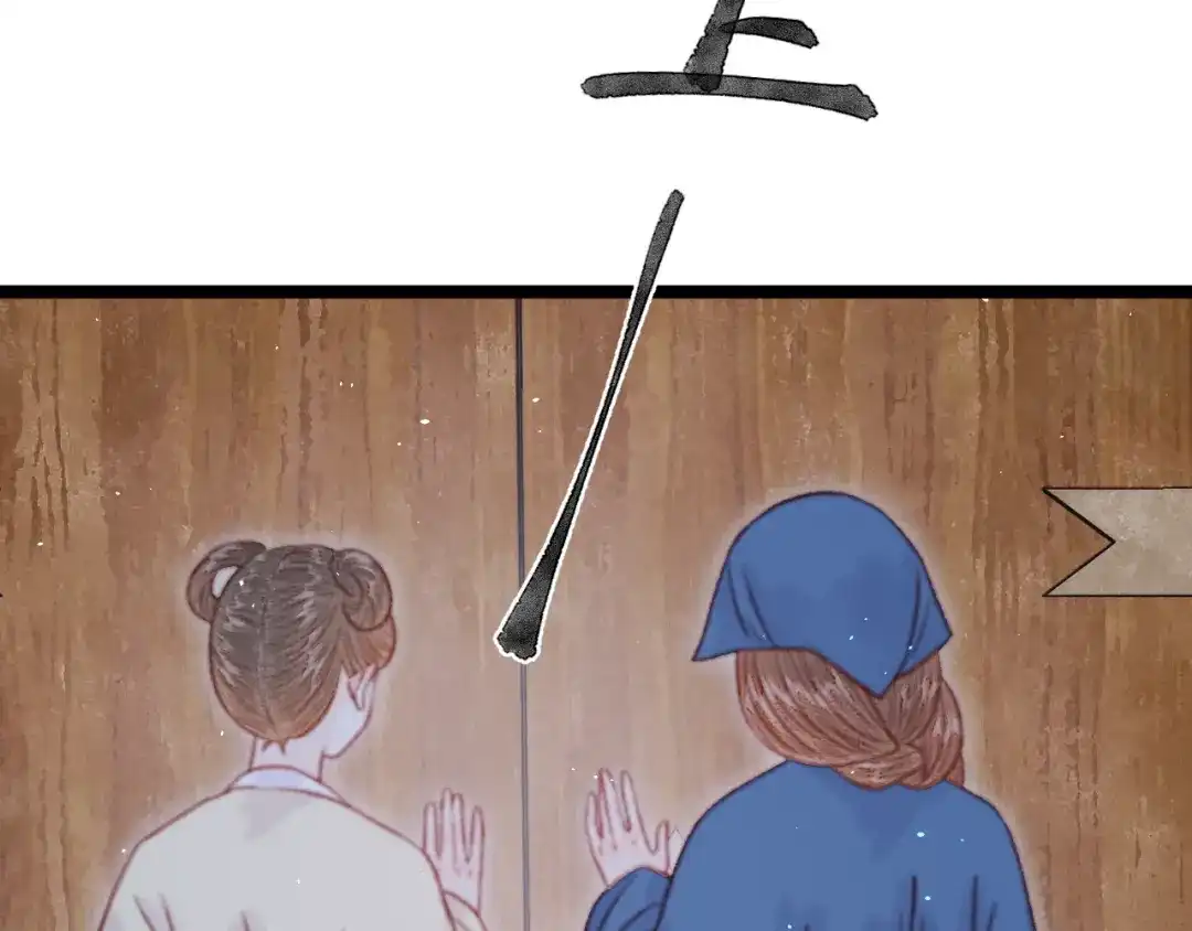 韶华珑：重生之恶妃逆袭 051 落胎药 第58页