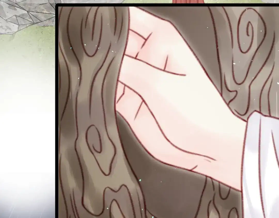 韶华珑：重生之恶妃逆袭 051 落胎药 第83页
