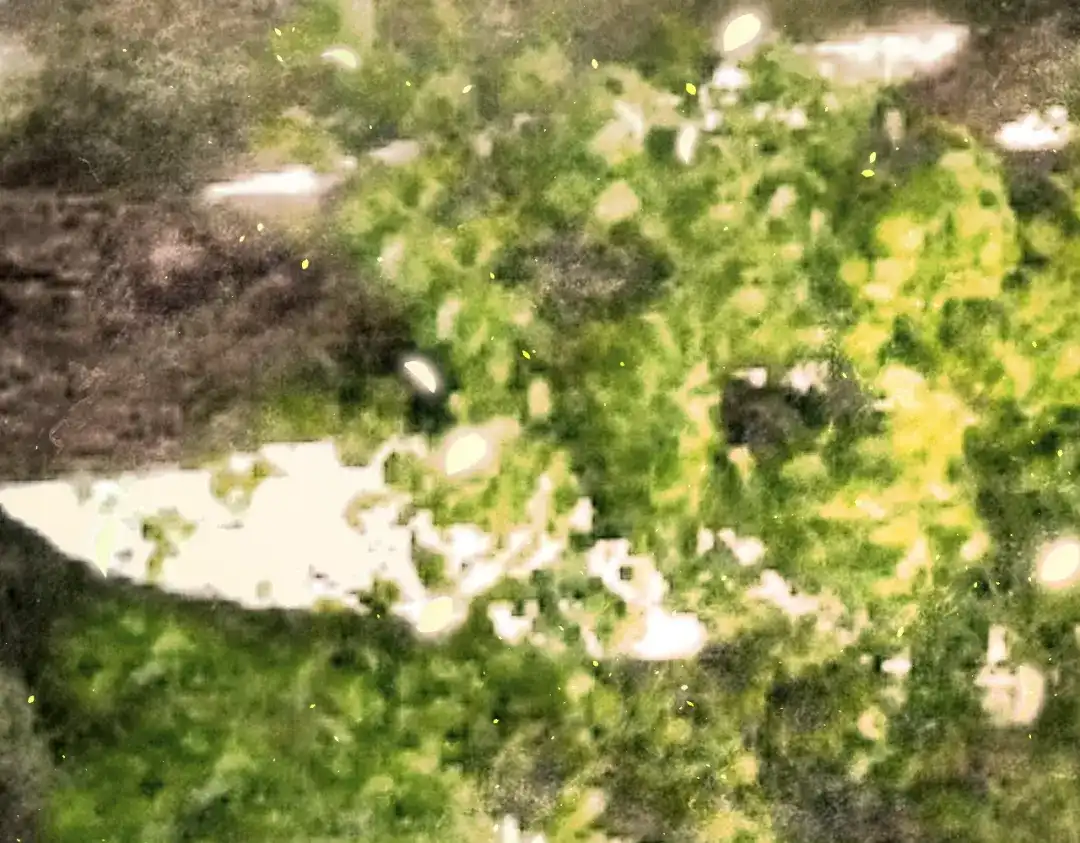 韶华珑：重生之恶妃逆袭 051 落胎药 第90页