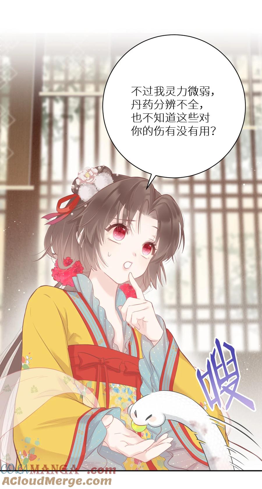第31页