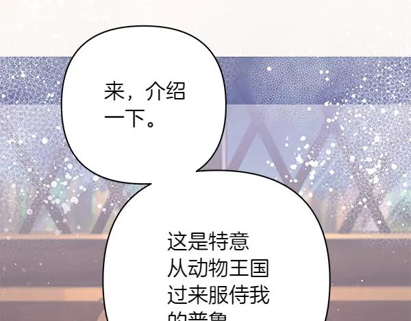 第254页