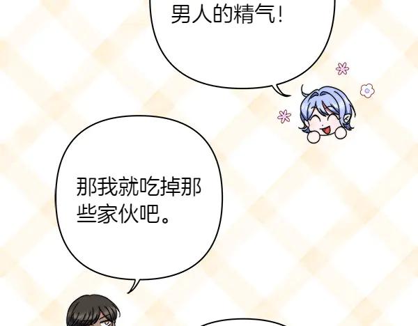 第242页