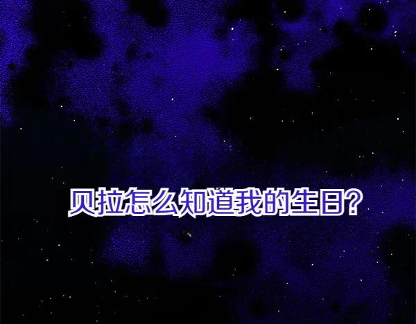 第262页