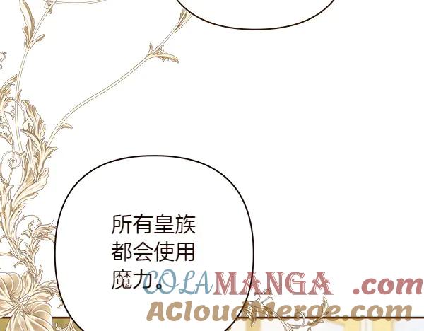 第241页