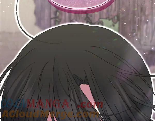 第233页