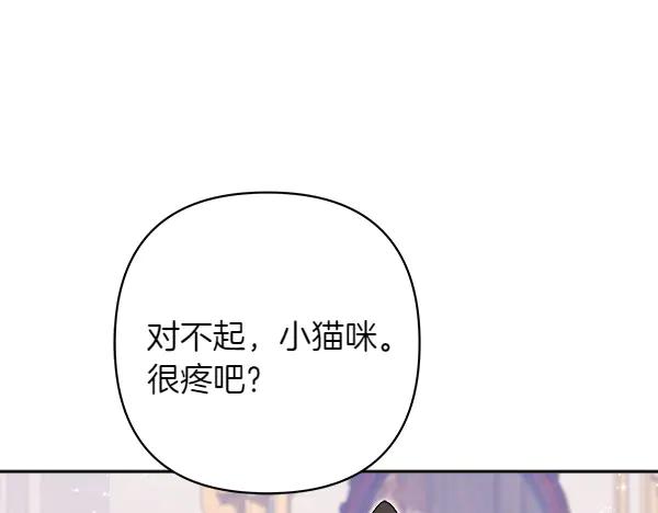 第238页