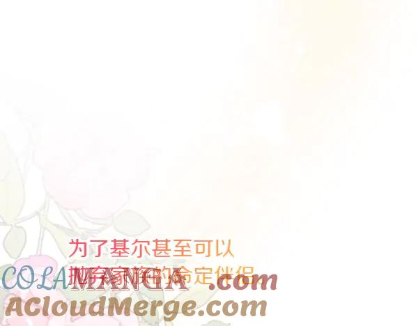 第241页