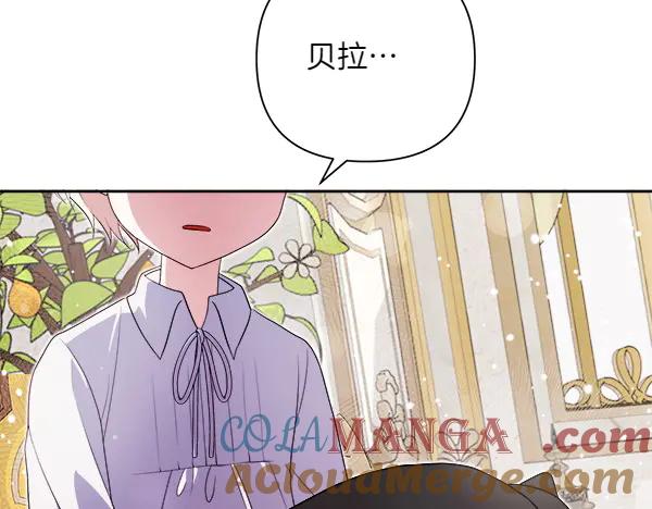 第205页