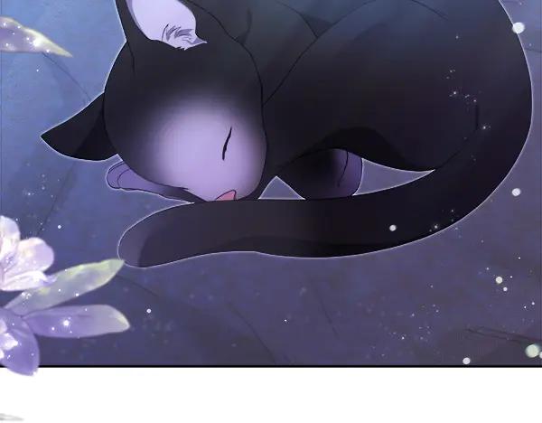 第235页