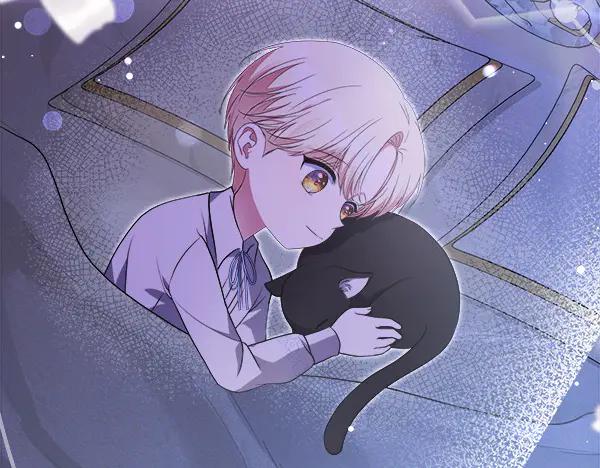 第240页