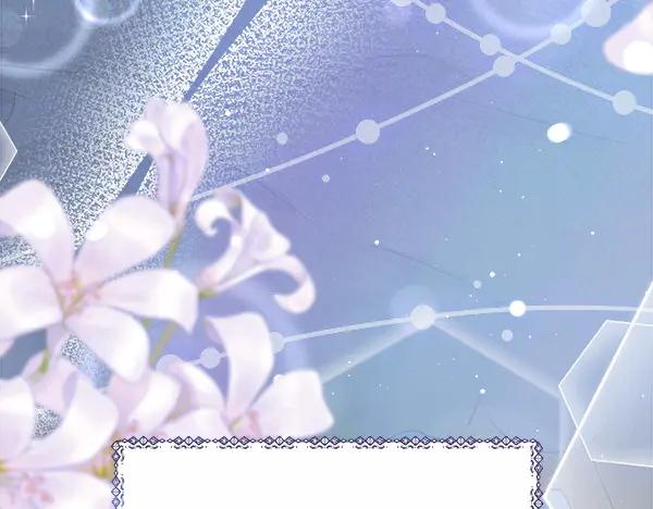 第242页