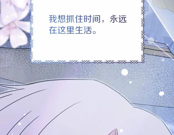 第243页