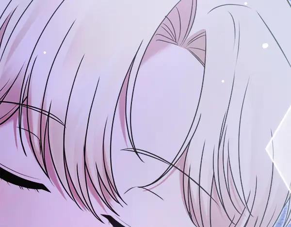 第244页