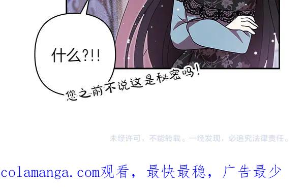 第254页