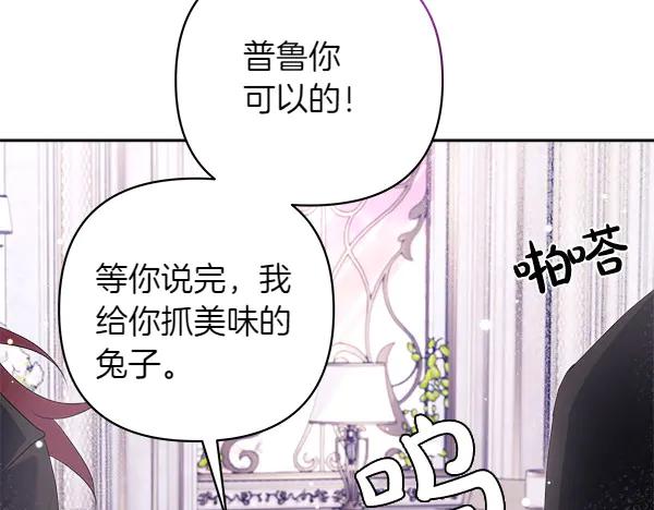 第211页