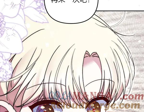 第217页