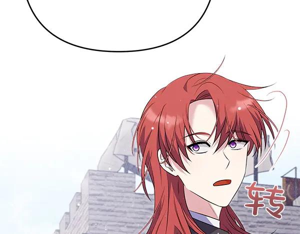 第239页