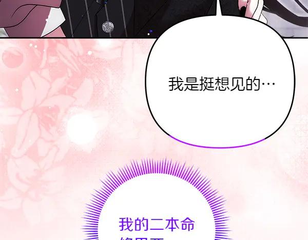 第219页