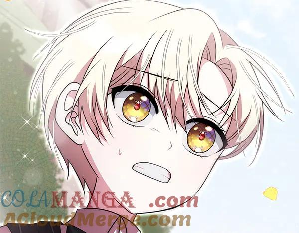 第229页